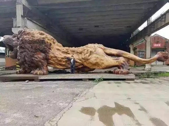 黄金樟根雕狮子，高3.8米宽2.8米，价值1800万 文玩天下 第6张