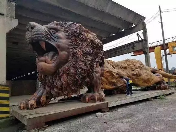黄金樟根雕狮子，高3.8米宽2.8米，价值1800万 文玩天下 第2张