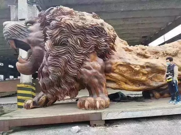 黄金樟根雕狮子，高3.8米宽2.8米，价值1800万 文玩天下 第1张