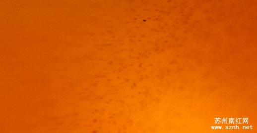 高倍显微镜下南红玛瑙与普通红玉髓的区别